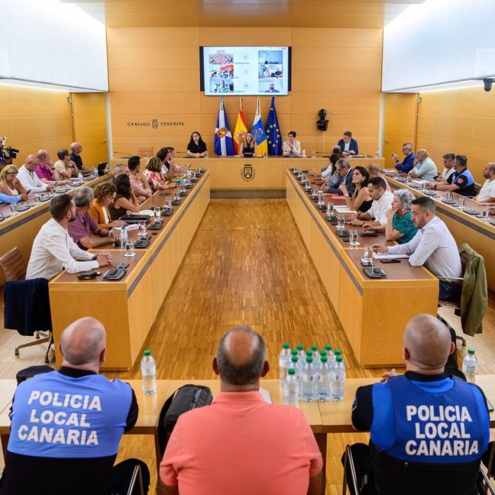 ReuniónmunicipalsimulacroerupciónTF